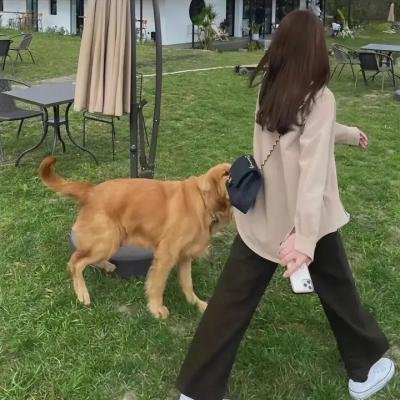 王后秘史