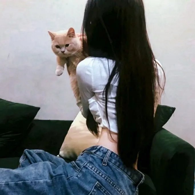 雄狗狗大冒险